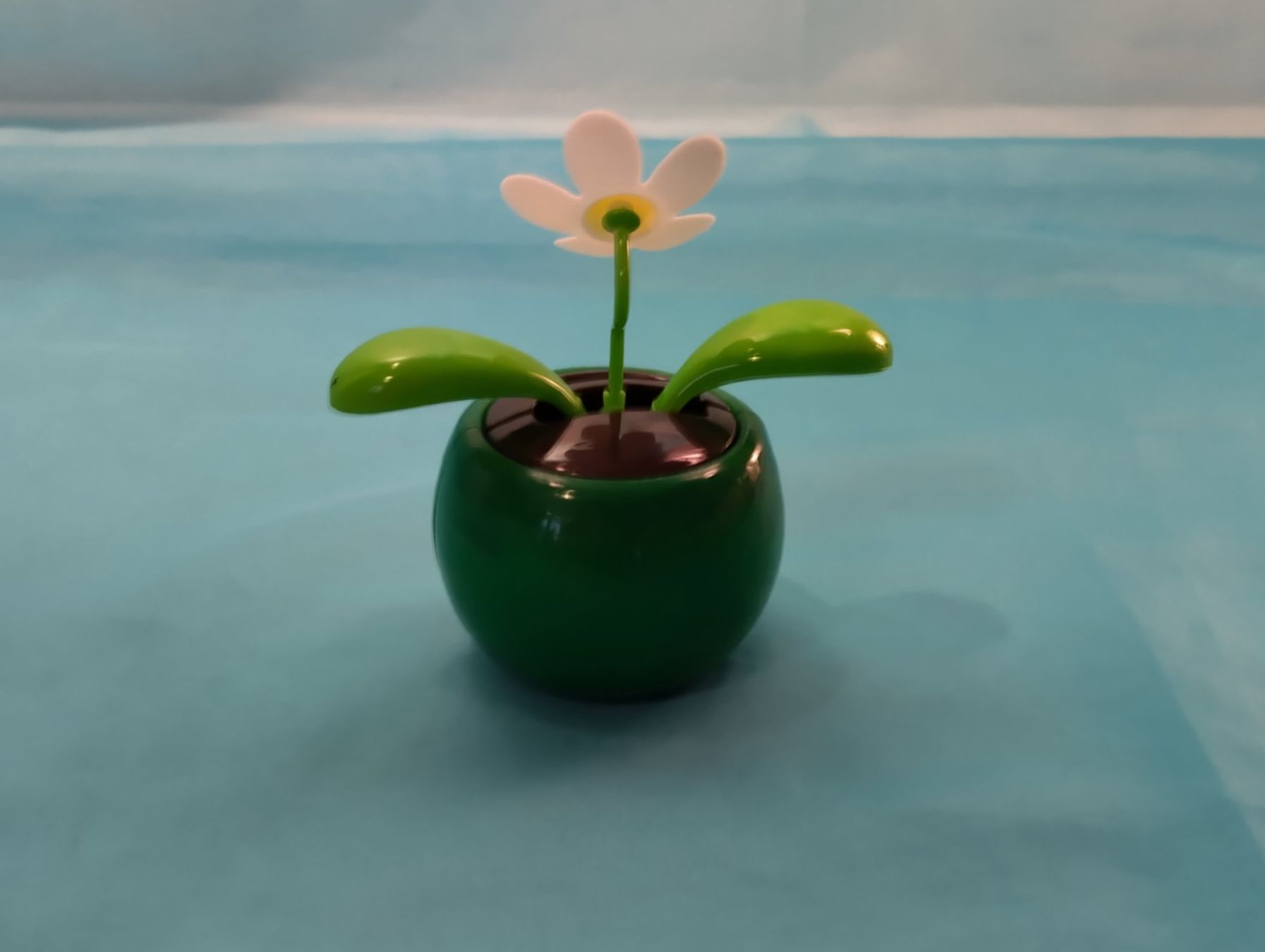 Tutte le decorazioni: FlipFlap Solar Wackelblume, H: 12cm – Nuovo (secondo la descrizione) da Bellach venduto da JingleCherry 2