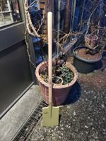Spaten aus der Landi