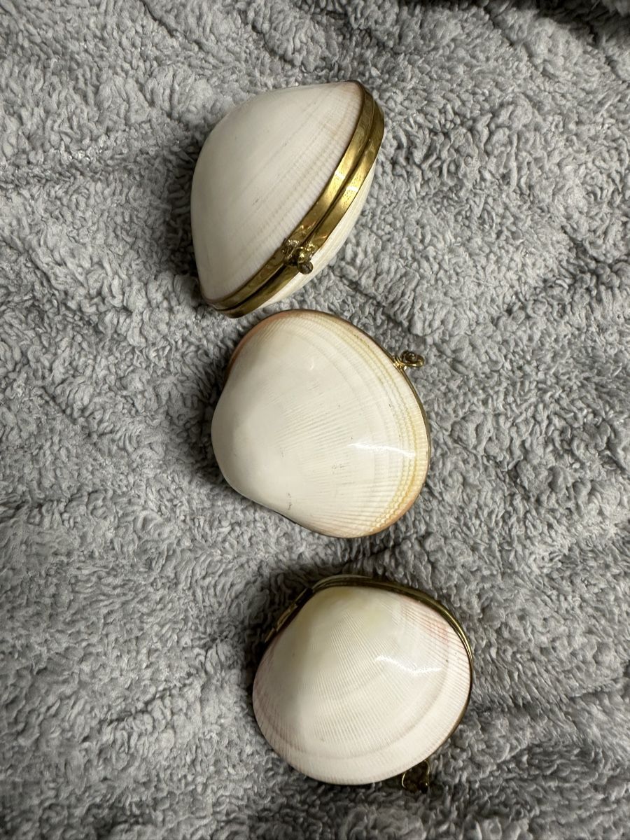 Tutte le decorazioni: Antike Pillendose Muscheln  – Usato da Oberentfelden venduto da vilibrand 1