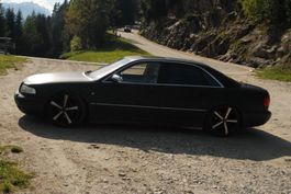Audi Quattro 🤩 A8 Ersatzteile Türschutzleisten