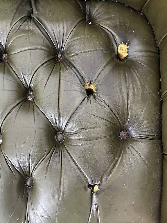 Chesterfield Divani: Canapé Chesterfield Cuir – Usato da Biel/Bienne venduto da Steven_Colin 6