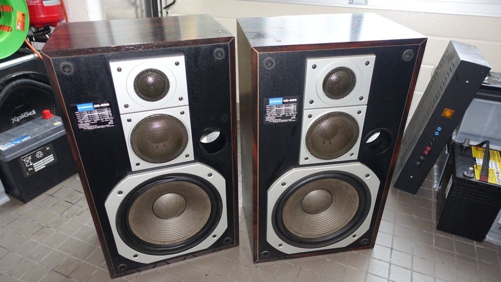 Pioneer cs hot sale 656 speakers