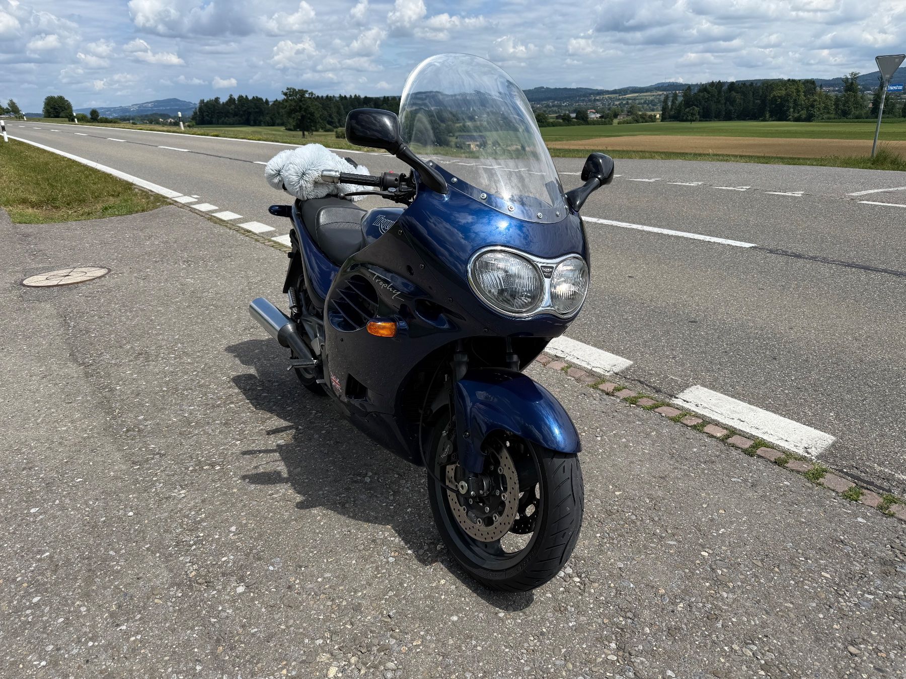 Triumph Touring: Triumph Trophy 1200 MFK 07/2025 – Usato da Rothenthurm venduto da norvil61 2
