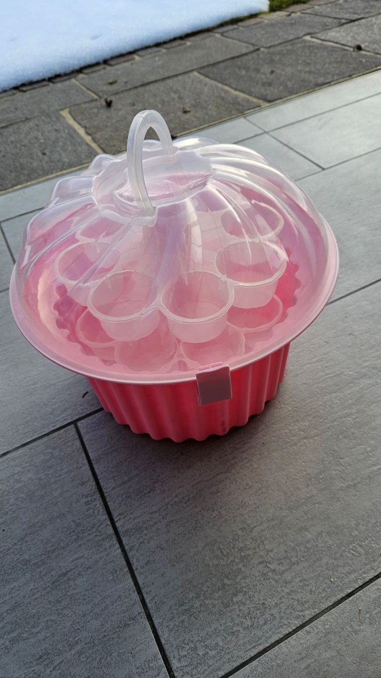 Behälter & Ähnliches: Transportbox für 24 Muffins – Gebraucht aus Wettswil von Schnuebe