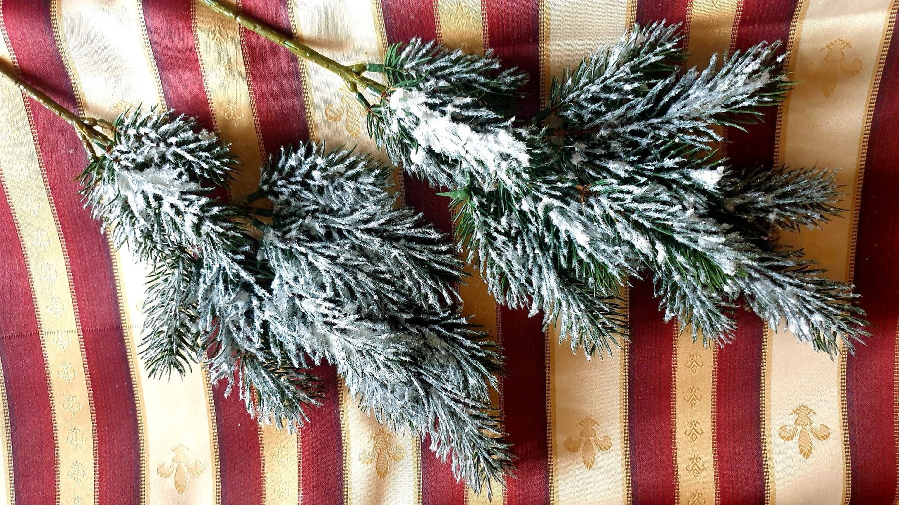 Tannenäste (Neu (gemäss Beschreibung)) in Benken SG für CHF 3 – mit Lieferung auf Ricardo kaufen