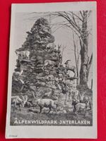 Alpenwildpark Interlaken