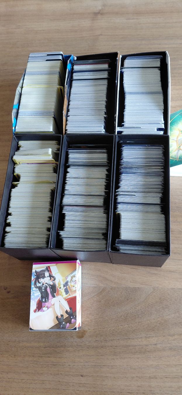 Pokémon Carte collezionabili: Pokemon grosses Set – Usato da Giswil venduto da GTI1983