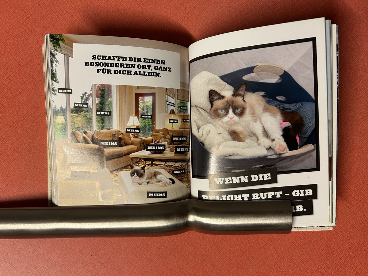 Libri: Grumpy Cats Grumpy Guide to Life Buch guter Zustand – Usato da Lanzenhäusern venduto da vic63 7