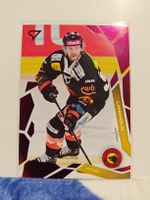 Sportzoo. Anton Lindholm Base Set Pink. SCB Bern