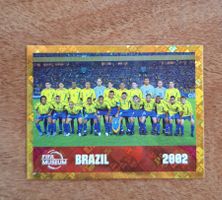 Panini FWC 16