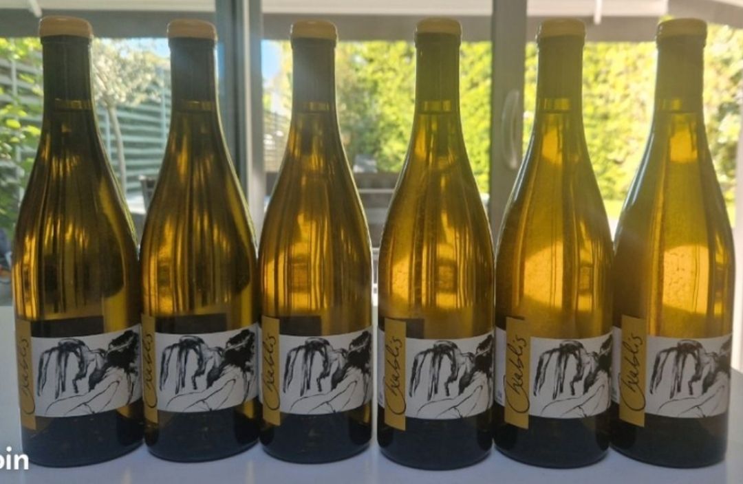 Vino: Chablis vent d Ange - Thomas Pico - Pattes Loup – Nuovo (secondo la descrizione) da lausanne venduto da Antoine1010 1