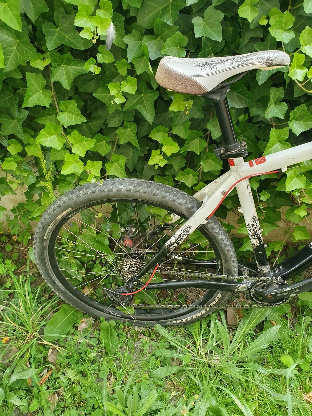 Specialized Biciclette: Specialized Hardtail MTB mit neuen Teilen – Difettoso da Glis venduto da Shortbread_ 3