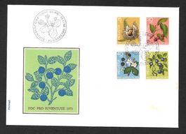 FDC Pro Juventute Serie 1973 ET 29.11.1973 schön illustriert