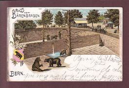 BERN - Gruss vom Bärengraben - 1902 Litho