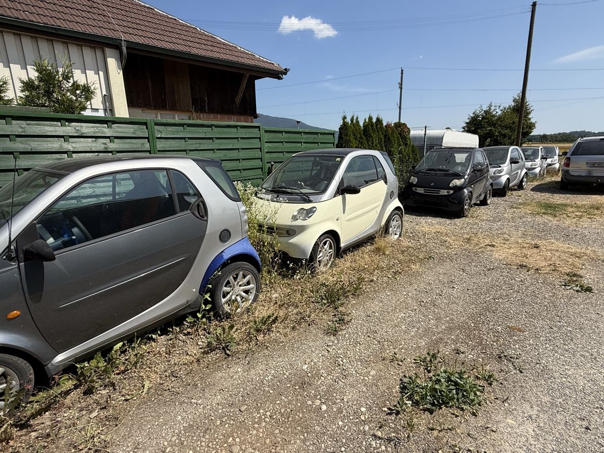 Smart Automobili: 11 Smart Autos – Usato da Niederbipp venduto da baggerch