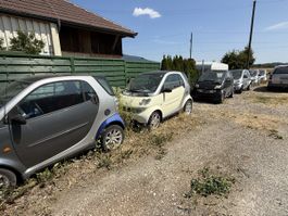 11 Smart Autos