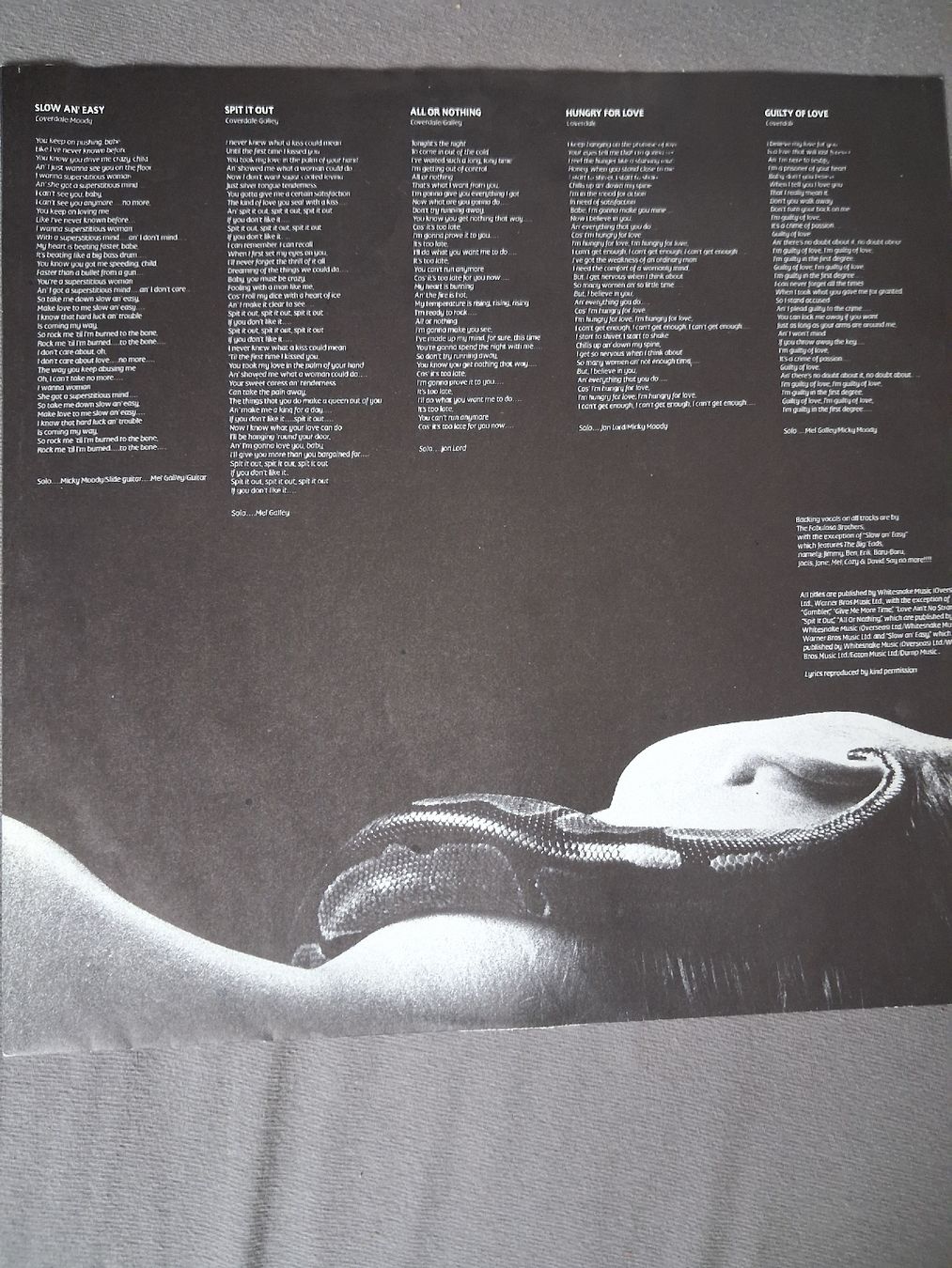 Dischi in vinile: Whitesnake - Slide It In LP - Vinyl - Klassiker – Usato da Basel venduto da meh_cm2k 2