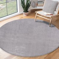 PREISVORSCHLAG ‼️  XXL Teppich Rund GRAU 200 cm waschbar