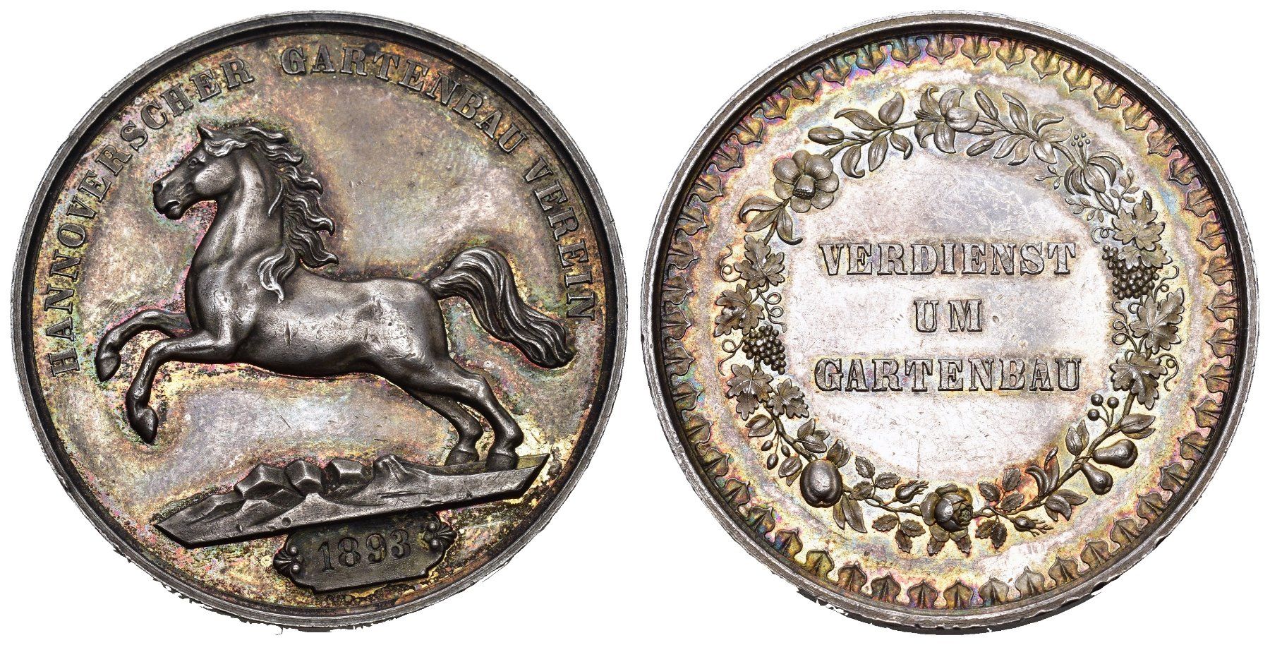 Medaglie: Hannover 1893 – Usato da Bern venduto da numismatictops