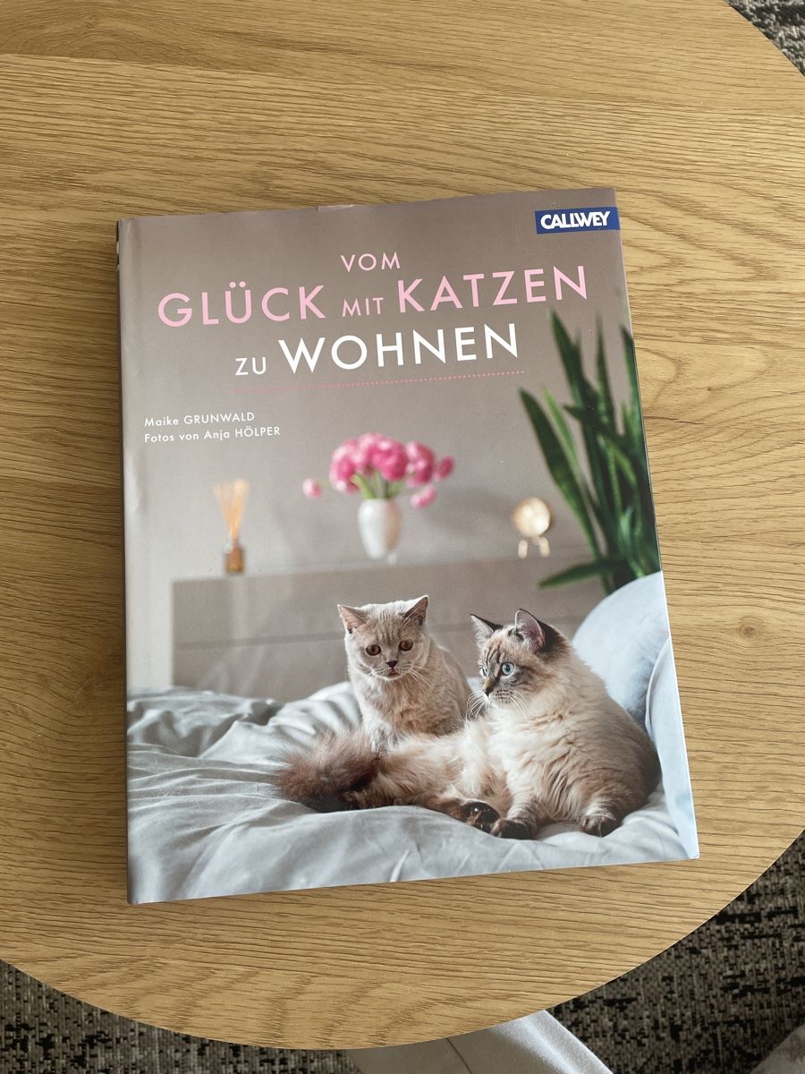 Libri: Glück mit Katzen zu wohnen Buch – Nuovo (secondo la descrizione) da Olten venduto da pal_6ytd 1