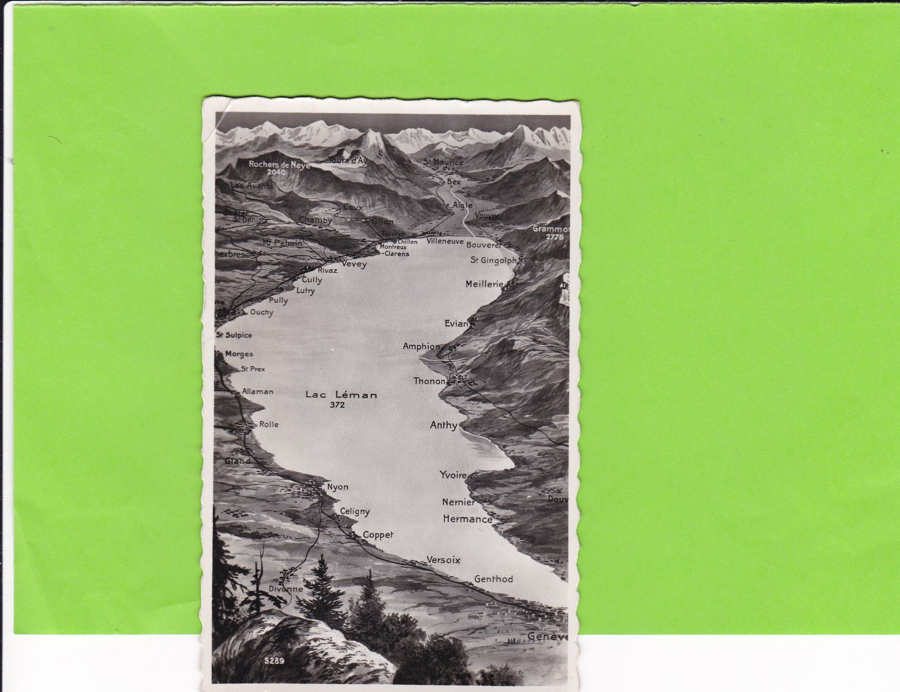 Cartes postales: Lac Léman – D'occasion à St. Peterzell par neckertal