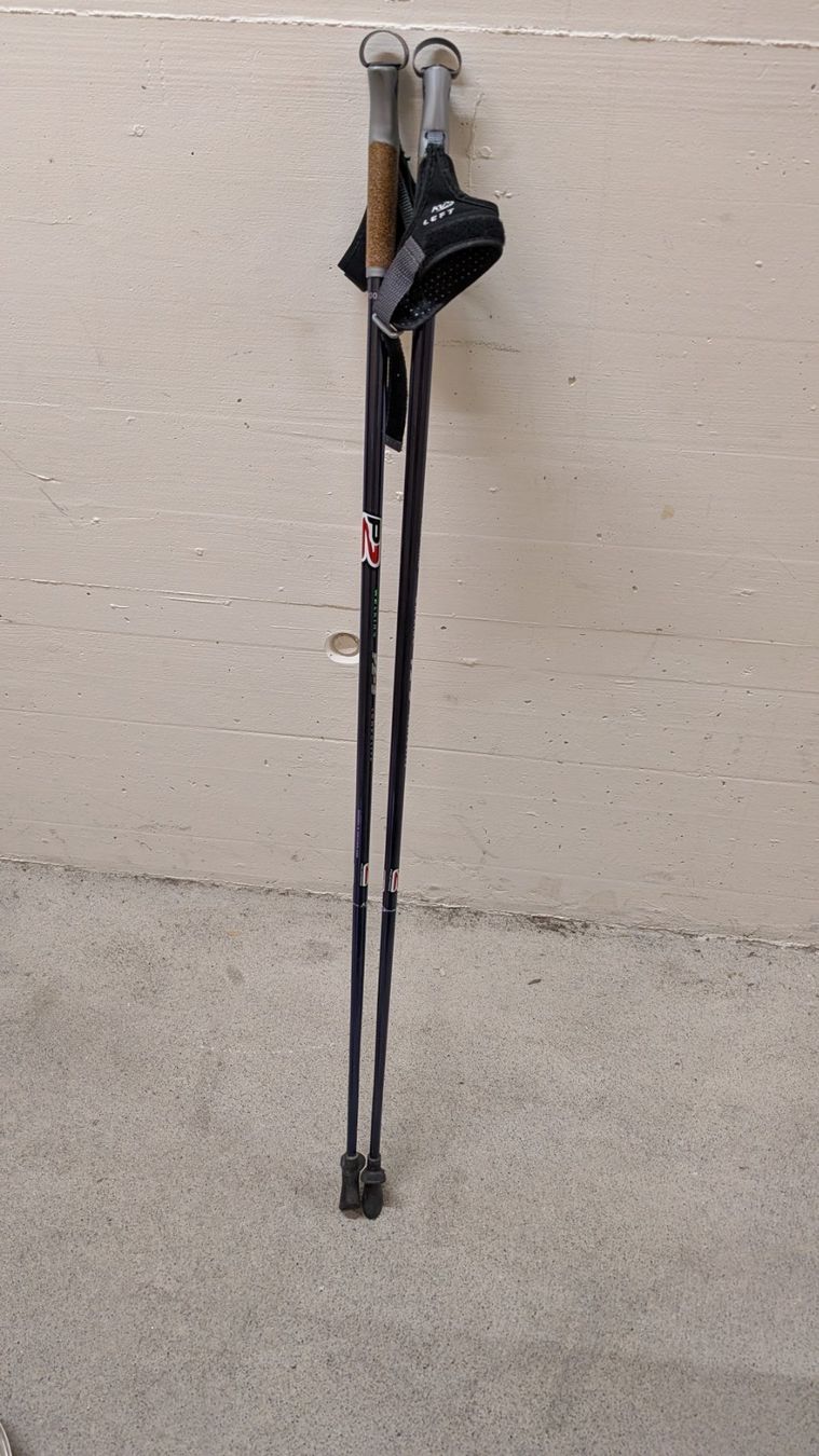 Bâtons de marche: Nordic Walking Stöcke 100 cm gebraucht – D'occasion à Luzern par cri_jxn6