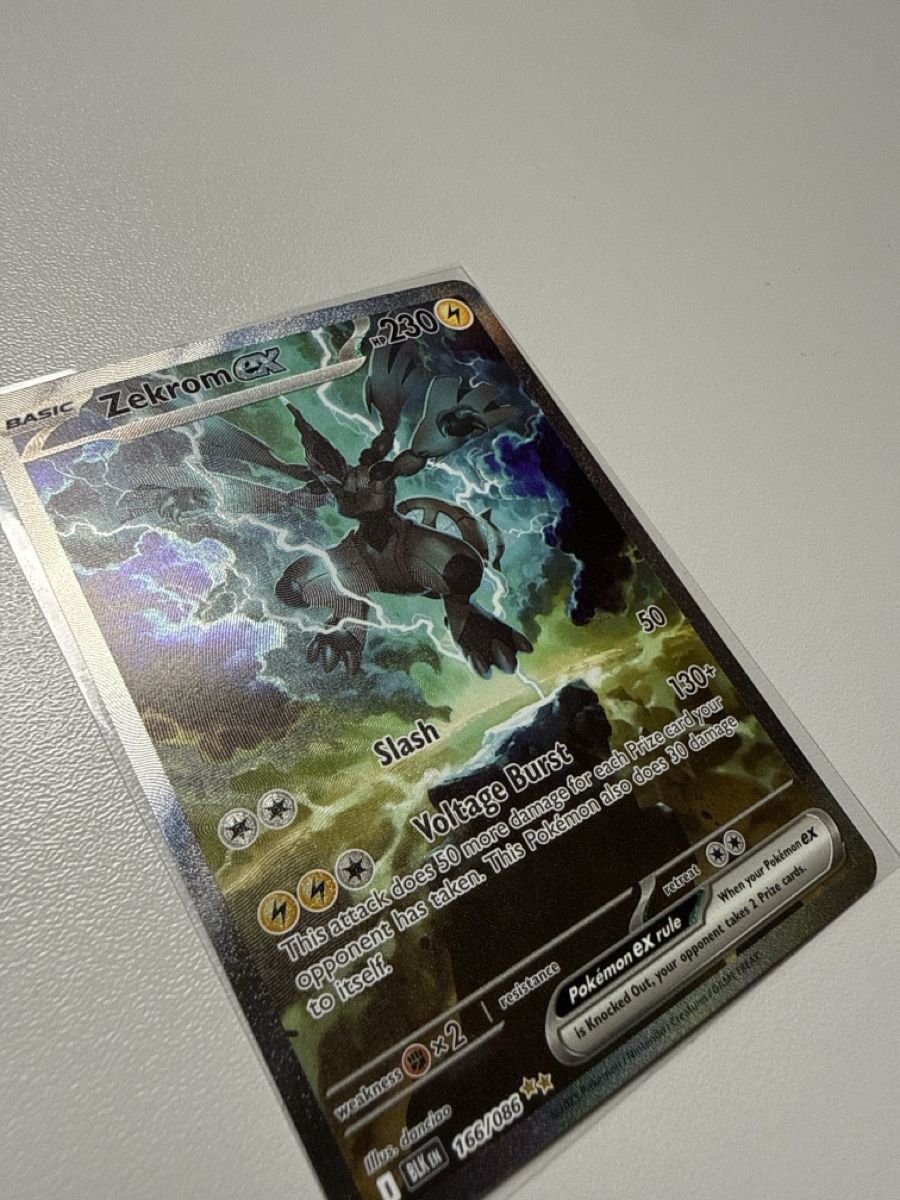 Pokémon Cartes à collectionner: Zekrom Pokemon Karte Psa 10 Zustand – Neuf (Voir description) à Appenzell Meister. par ROMDIE10 1