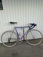 Allegro Rennvelo ab servis