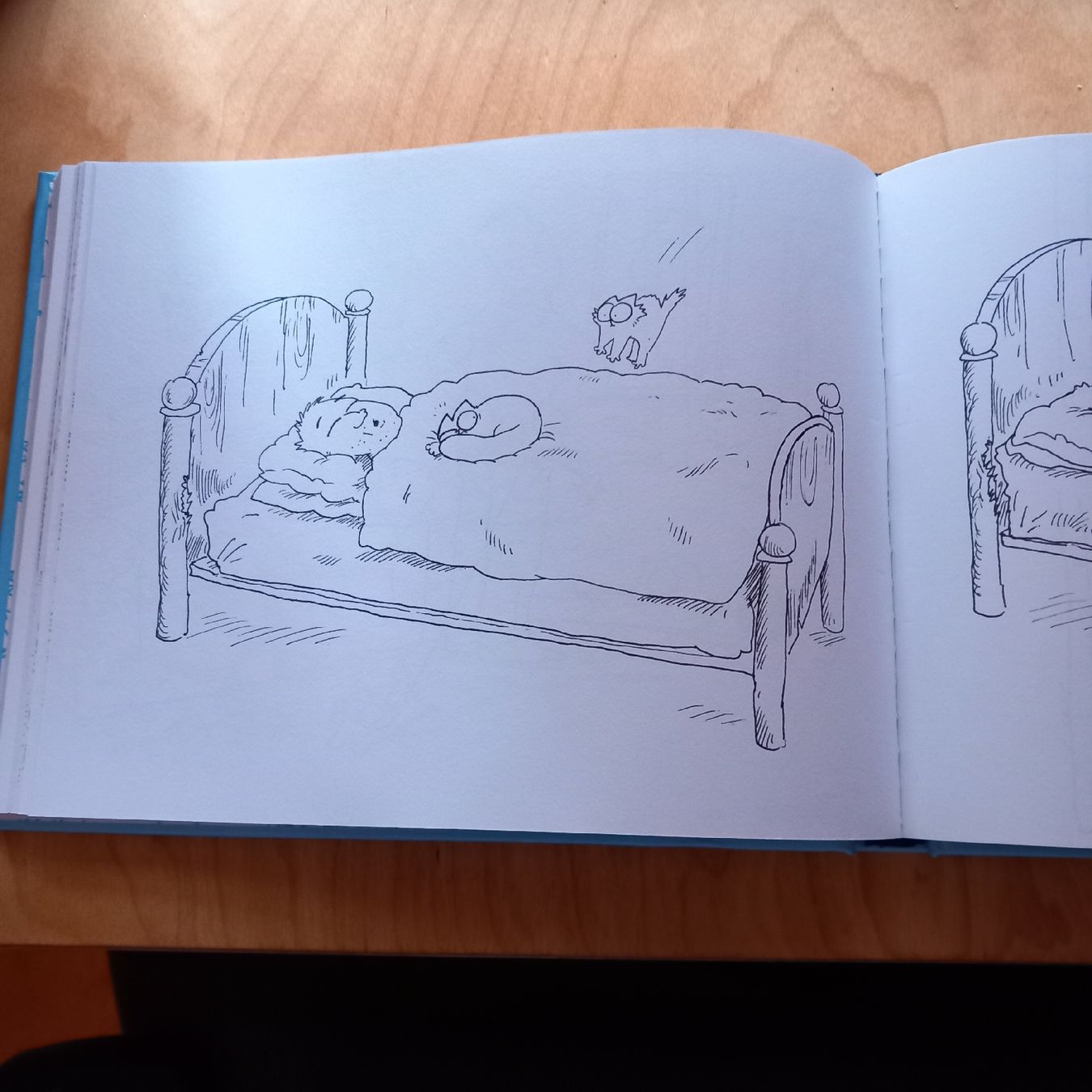 Fumetti: Simon's Cat – Usato da Ebnat-Kappel venduto da blazzi 1