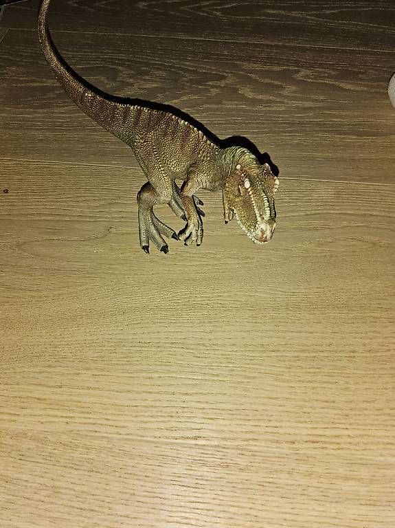 Spielzeuge: Schleich T-Rex – Gebraucht aus Davos Dorf von hof_t6tv