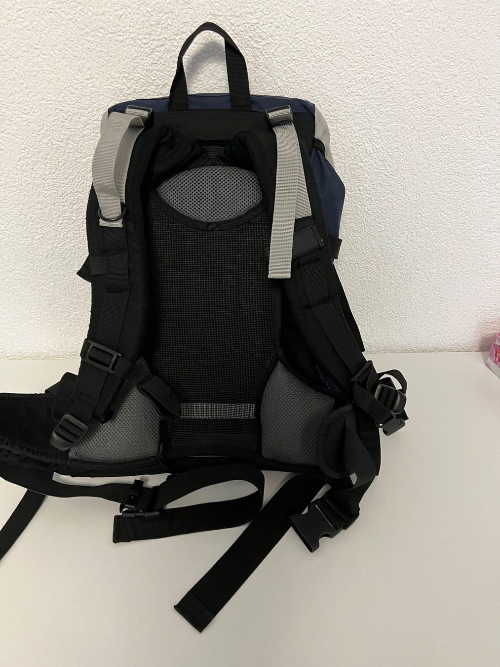 Zaini: Panzeri Rucksack 40 L: – Usato da Langenthal venduto da langenthal333 2