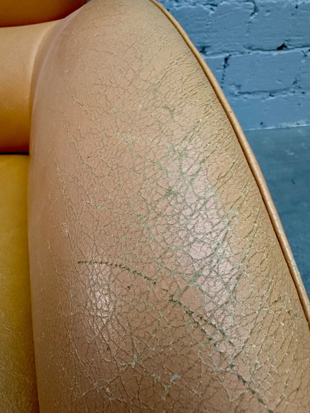 Poltrone: SESSEL XXL AB 1.- !!! – Usato da Zürich venduto da NIKI777 8