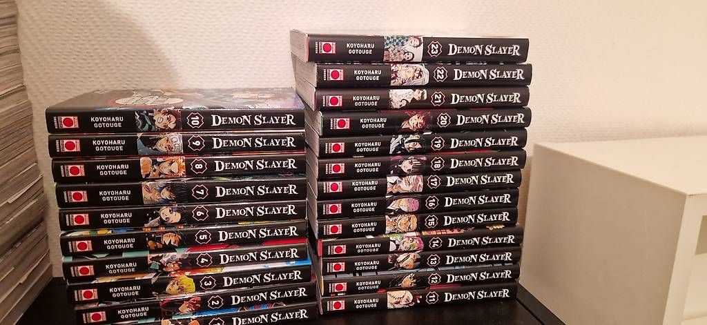 Fumetti: Manga Demon Slayer 1 à 23 – Usato da Chêne-Bougeries venduto da dav_nt9x