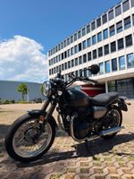 Kawasaki W800 2019