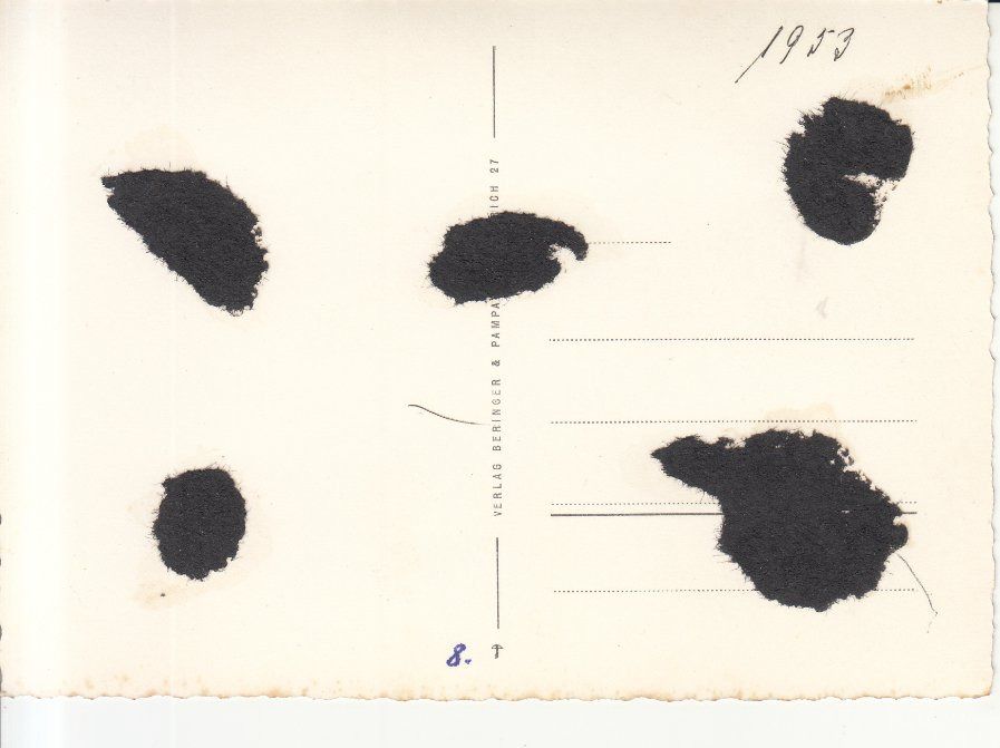 Cartoline postali: Zürich Rüden 1953 – Usato da Bürglen TG venduto da StampGraf 1