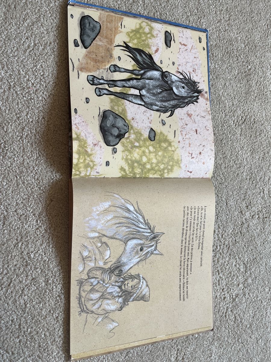 Libri: Les petits chevaux du vent. Pastel – Usato da Villars-Bramard venduto da dadesc 2