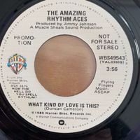 Amazing Rhythm Aces - What Kind Of Love Is This / US Promo