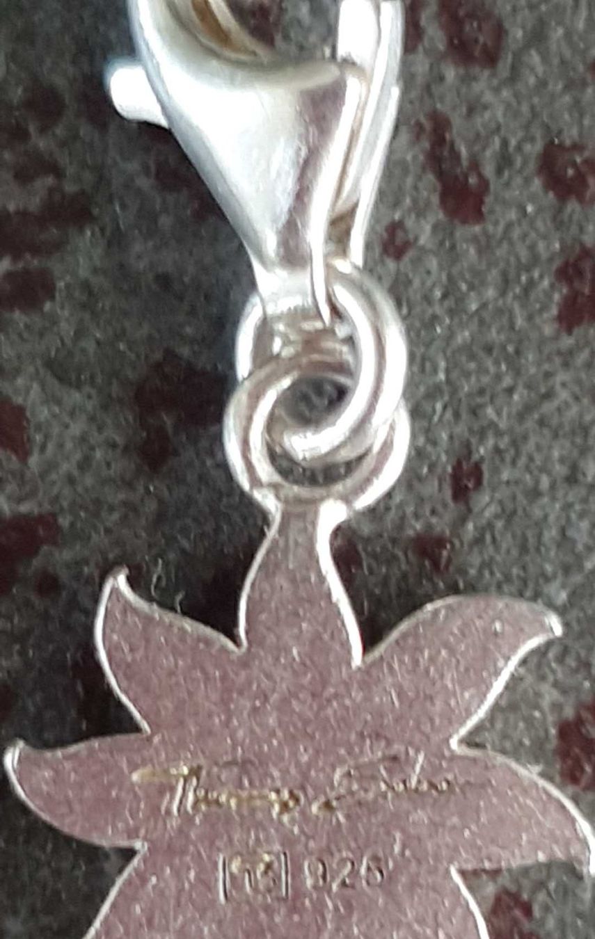 Thomas Sabo Ciondoli: Charms Thomas Sabo – Usato da Echallens venduto da sabina1311 3