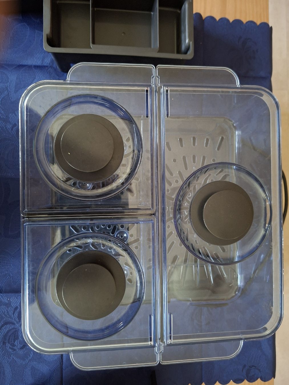 Elettrodomestici da cucina: Dampfgarer Morphy Richards, Top Zustand! – Nuovo (secondo la descrizione) da Marbach LU venduto da antanarivo 2