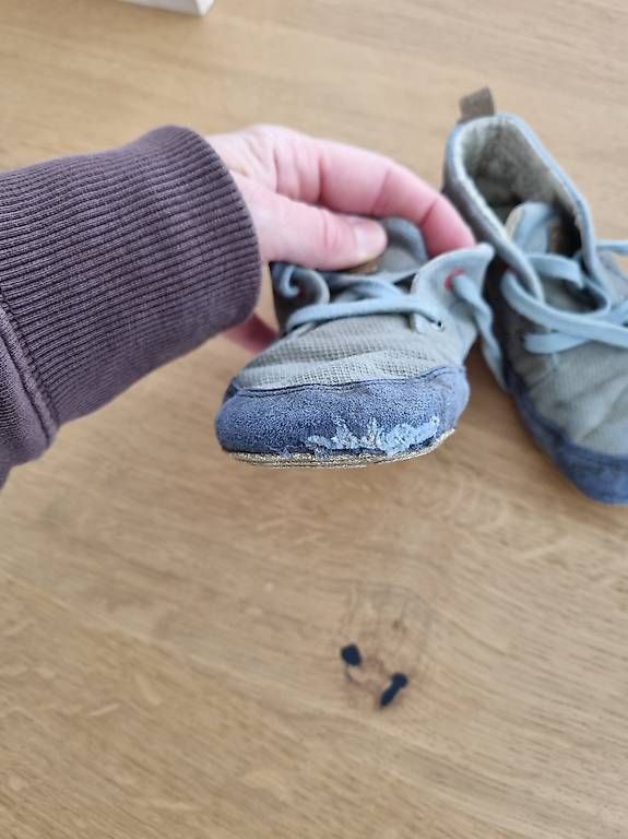 Scarpe per ragazzi: Wildling Barfussschuhe Gr 21 – Usato da Wängi venduto da ann_qj8y 2