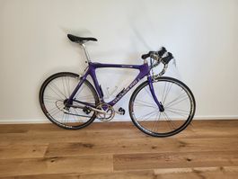 Rennvelo Campagnolo Checker Pig