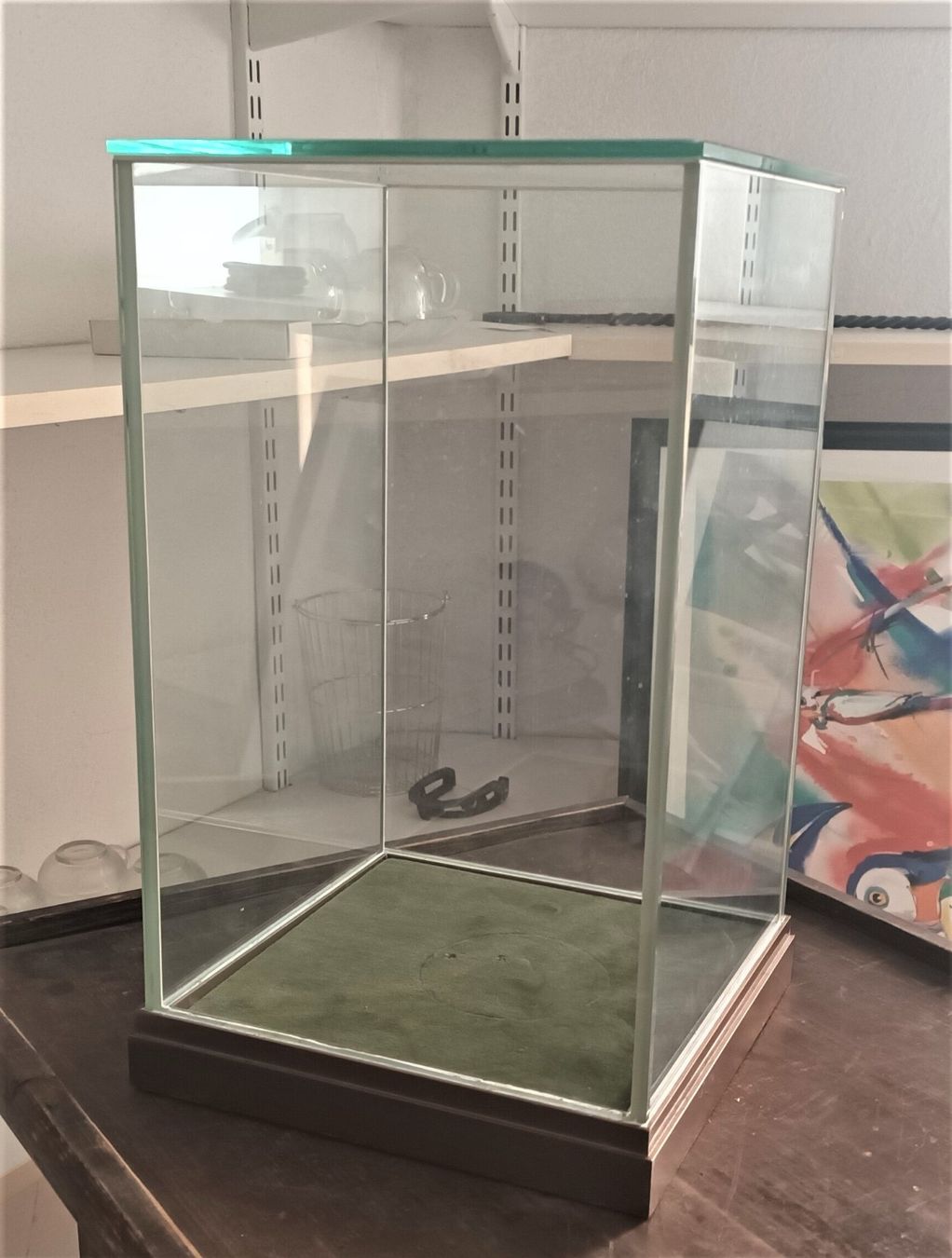 Vitrines: Glasvitrine mit Glockenabdeckung, Sockel Messing.QUATRADISCH – D'occasion à Vaduz par Bergtiger 5