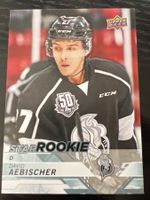 David Aebischer HC Lugano Rapperswil Jona Lakers Star Rookie