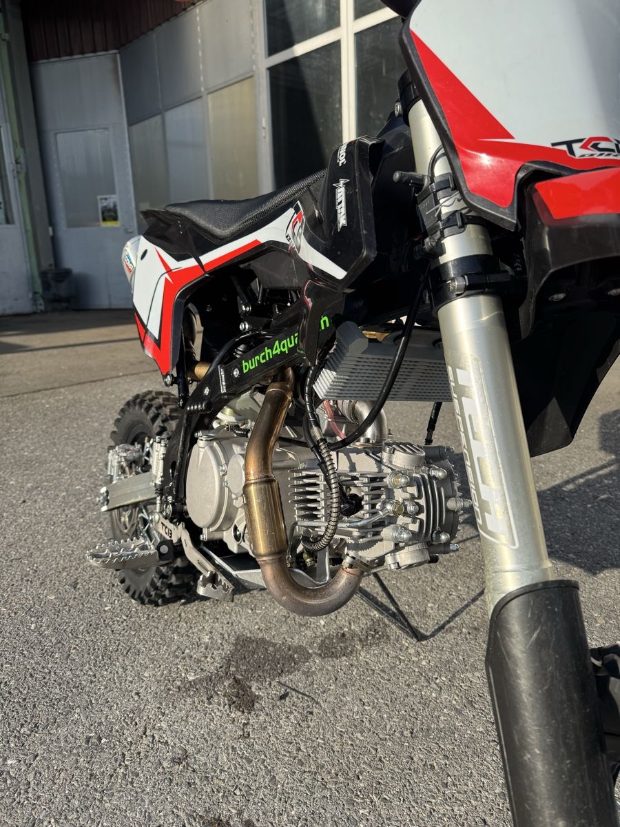 Mini Bikes: TCB XF 22 Pitbike  – Gebraucht aus Giswil von burchquad01 1