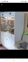 Terrarium zu verkaufen n