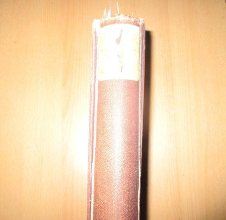 Libri: Schweizer Illustrierte Nov. 1905 - Nov. 1906 – Usato da Flims - Dorf venduto da Stagediver 5