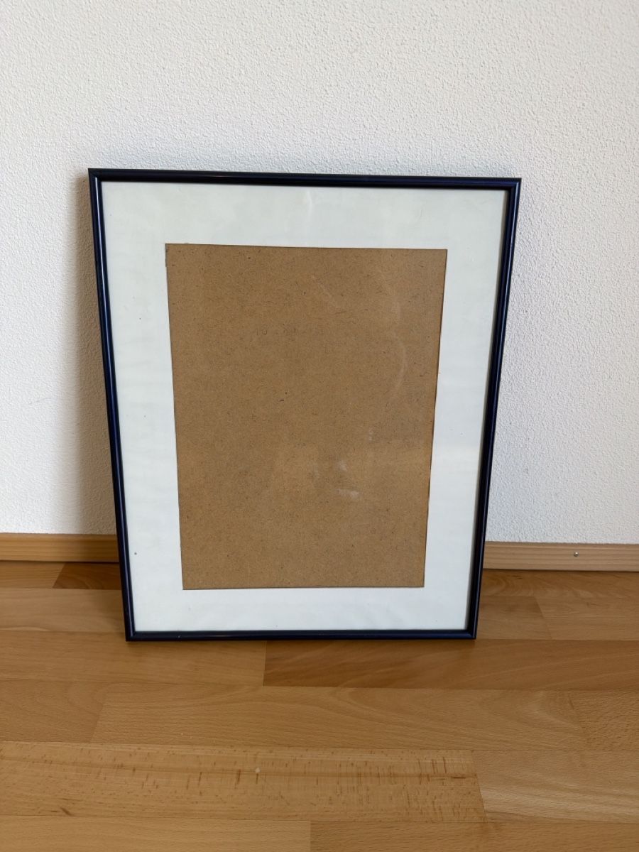 Cornici: Bilderrahmen schwarz  41  X   51  – Usato da Wetzikon ZH venduto da philippe_22