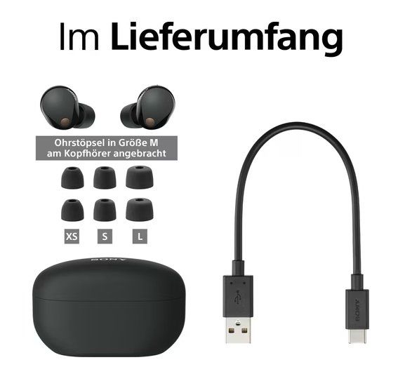 Sony Kopfhörer: Sony WF-1000XM5 Wireless NOISE CANCELING Headset/Kopfhörer – Gebraucht aus Urdorf von Fairdigital 6