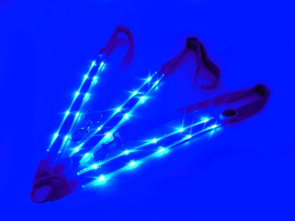 Briglie & Cavezze: Pony LED Vorgeschirr blau – Nuovo e nell'imballaggio originale da Kerzers venduto da sb_12 1