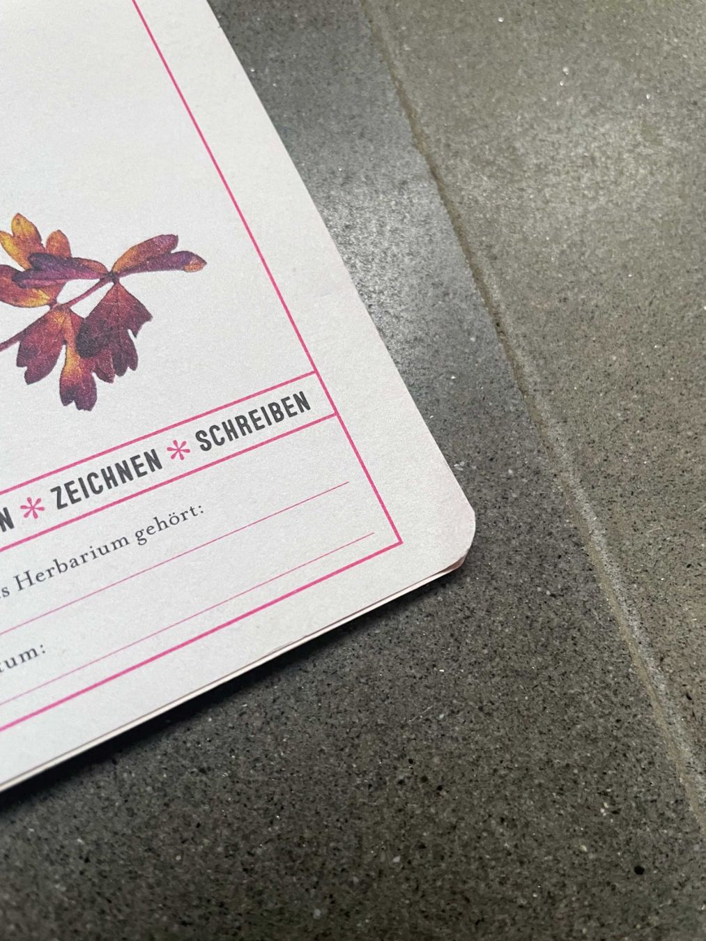 Kit bricolage: Herbarium DIY Flow Magazin – Nuovo (secondo la descrizione) da Zofingen venduto da angito 7
